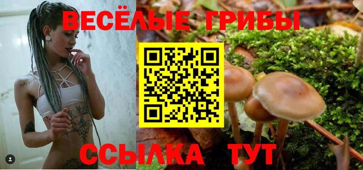 Ахтубинск  Галлюциногенные грибы GOLDEN TEACHER  даркнет сайт  Вход с VPN  Псилоцибиновые грибы GOLDEN TEACHER 